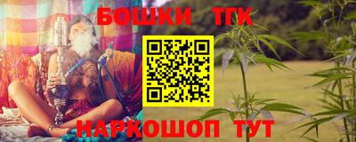 шишки Аргун