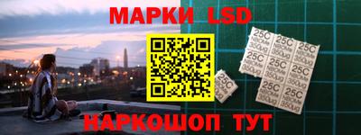 шишки Аргун