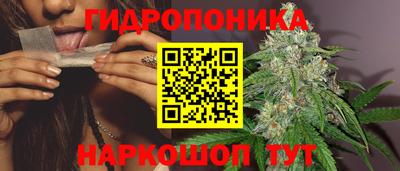 стафф Апшеронск